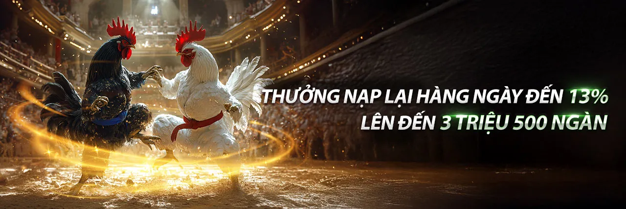 Tổng quan các loại kèo đá gà tại qq888 link mới