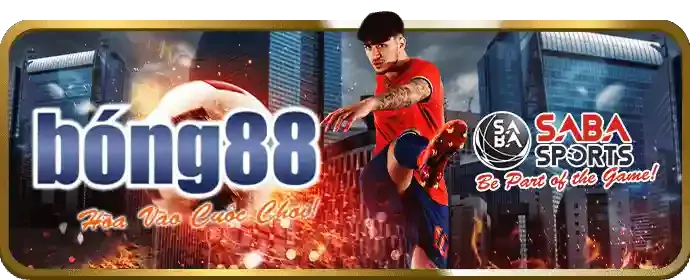 Chương trình hoàn trả hàng ngày/tuần QQ888